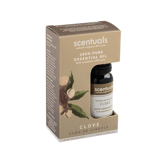 Clove Essential Oil (Boxed)