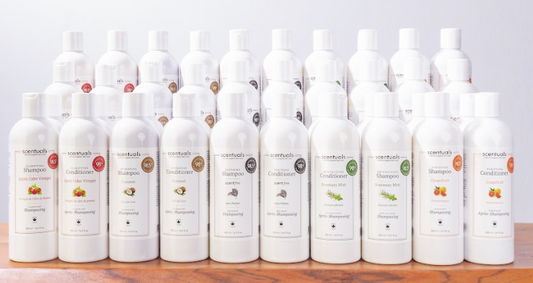 SC Hair Care Shampoo and Conditioner Prepack
